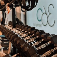 360-training-lab-palestra-massa-7